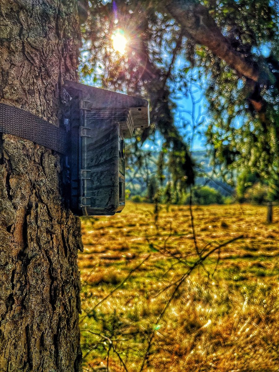 Wachman Solar Lite outdoor